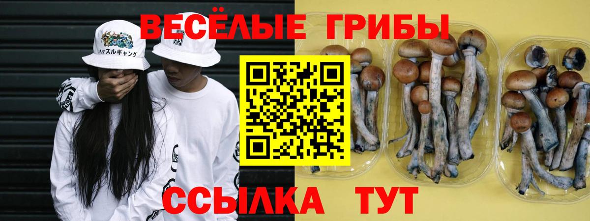 Краснознаменск  Меф  ГАШИШ  ЭКСТАЗИ  АМФ   Конопля  Меф МЯУ МЯУ кристаллы  Вход с VPN  A-PVP СК  