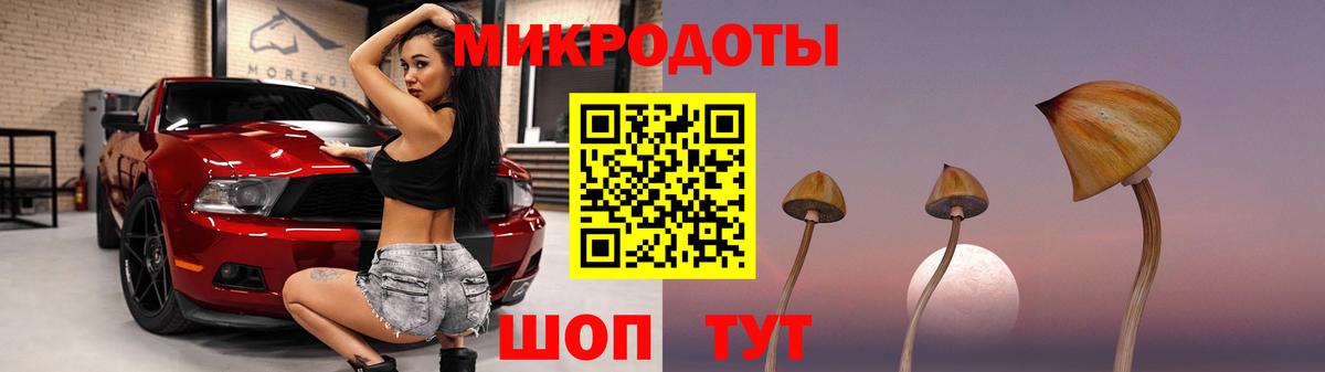 Краснознаменск  где купить   Вход с VPN  Галлюциногенные грибы Psilocybe  Псилоцибиновые грибы MAGIC MUSHROOMS 